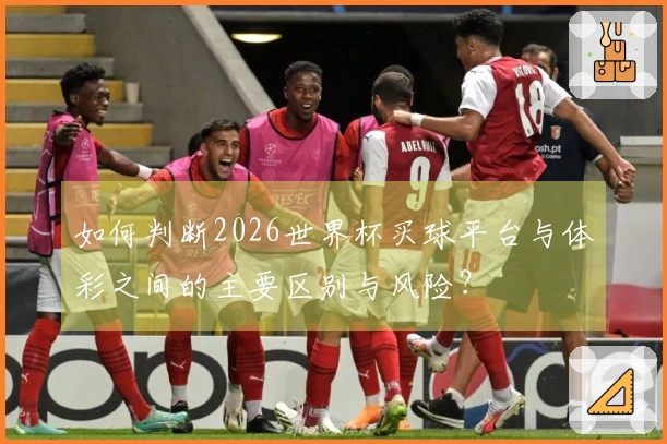 如何判断2026世界杯买球平台与体彩之间的主要区别与风险？