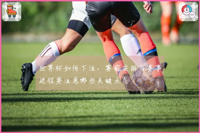 世界杯如何下注，赛前安排与赛事进程要注意哪些关键点？