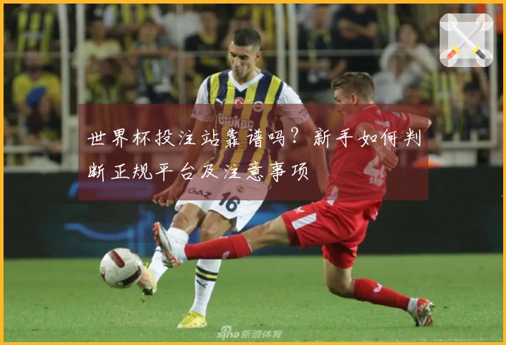 世界杯投注站靠谱吗？新手如何判断正规平台及注意事项