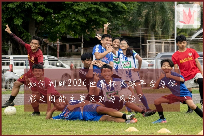 如何判断2026世界杯买球平台与体彩之间的主要区别与风险？
